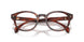 3034 - Tortoise