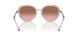 336414 - Silver - Pink Gradient Brown