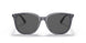 553787 - Clear - Dark Grey Solid
