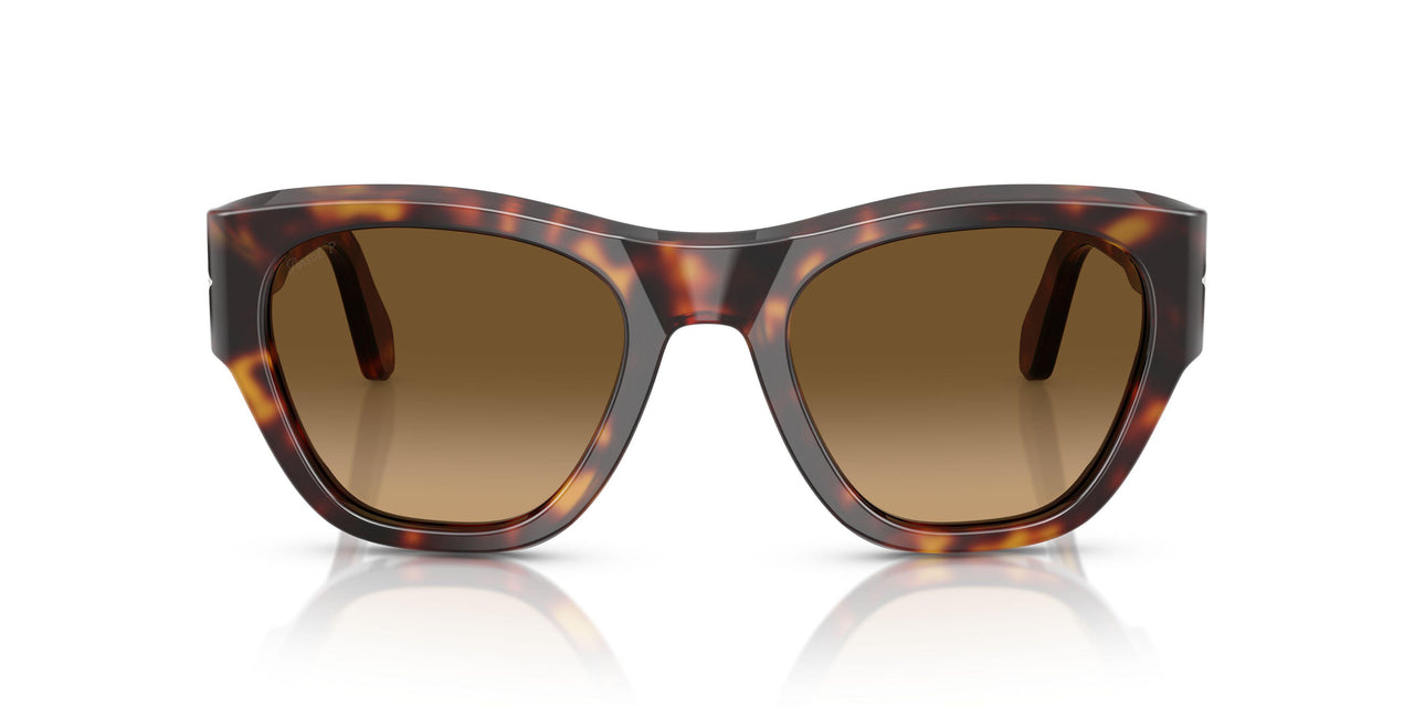24/M2 - Tortoise - Brown Gradient Brown - Polar