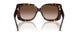 500213 - Tortoise - Gradient Brown
