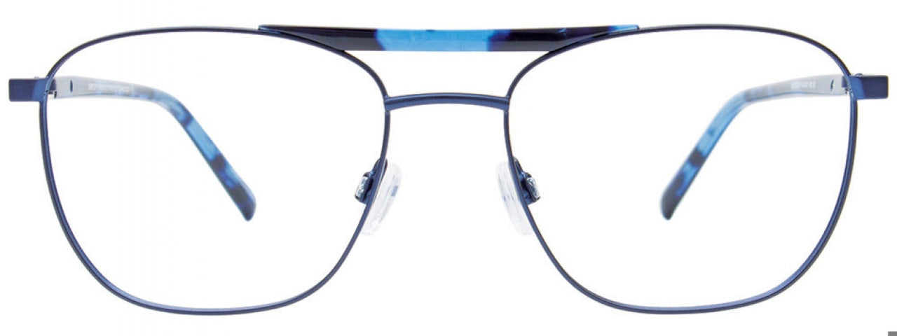 50 - Blue & Blue Tortoise
