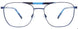 50 - Blue & Blue Tortoise