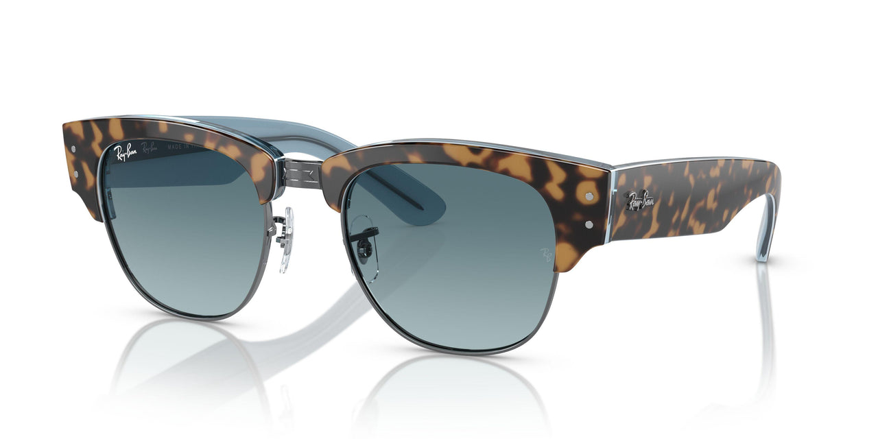 13163M - Tortoise - Blue
