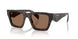 17N06B - Tortoise - Dark Brown