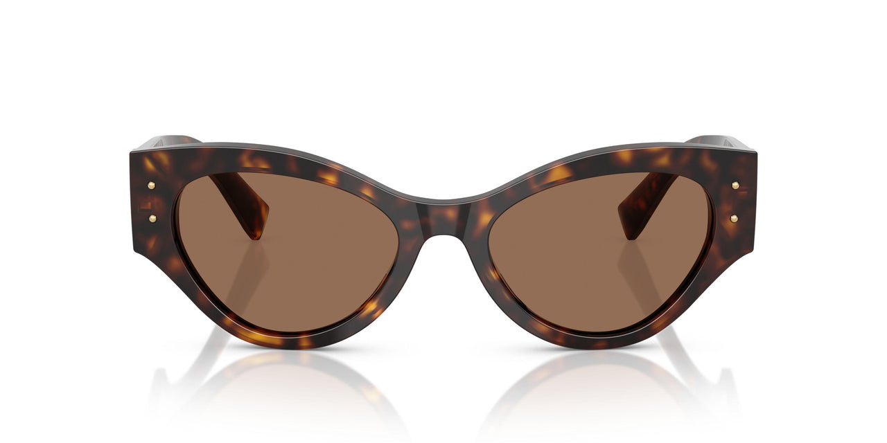 502/73 - Tortoise - Dark Brown