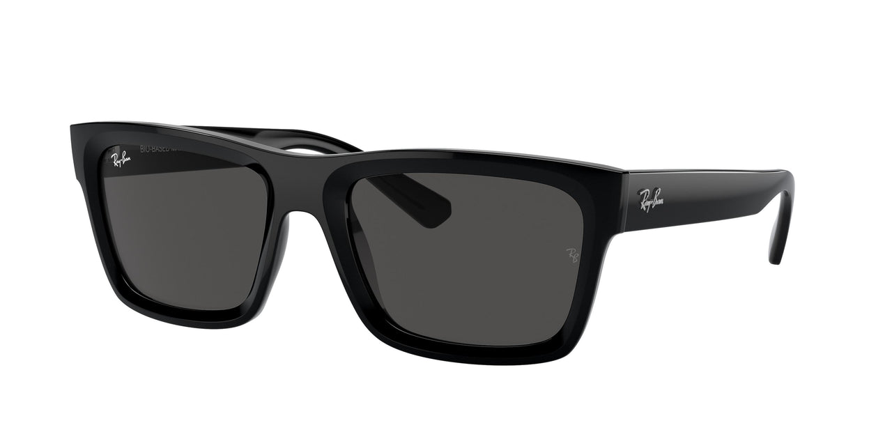 Ray-Ban Warren 4396 Sunglasses