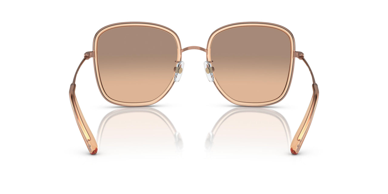 33683D - Pink - Brown Mirror