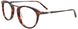 10 - Demi Brown & Dark Golden Brown