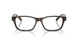 5003 - Tortoise