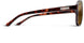 20717308656LA - Polarized Brown Gradient