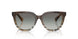 420211 - Brown - Grey Gradient