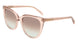 Salvatore Ferragamo SF2101S Sunglasses