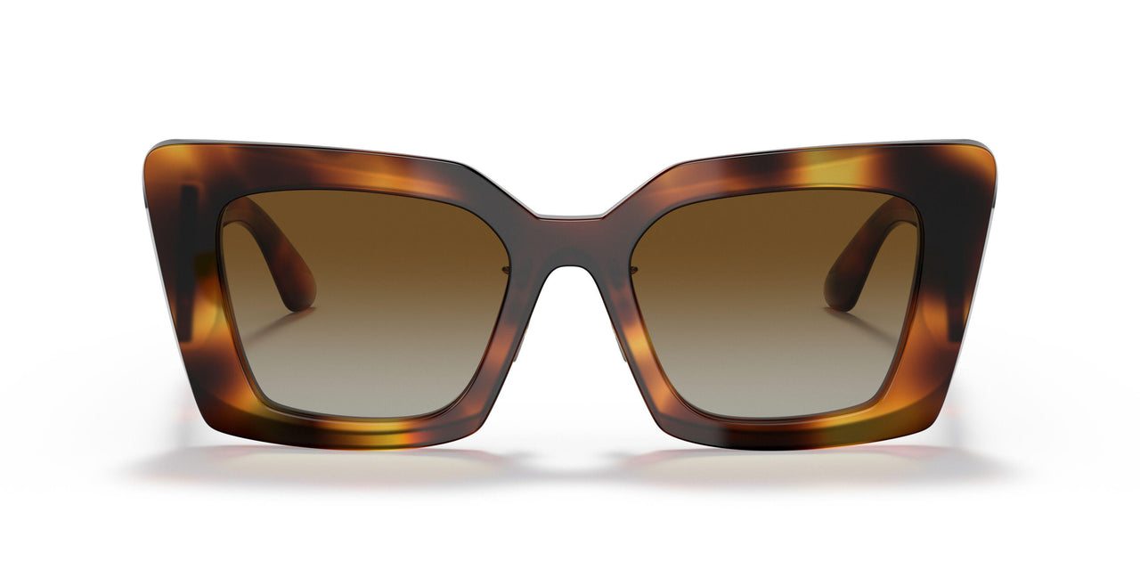 3316T5 - Havana - Brown Gradient Polar