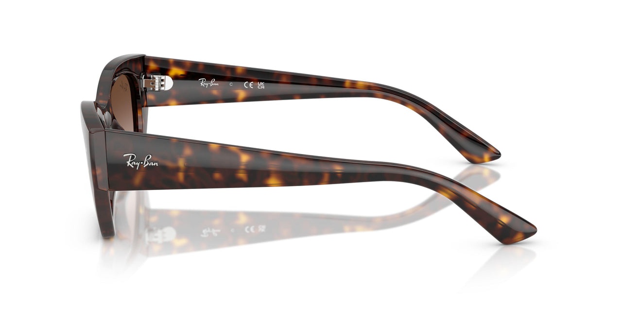 135913 - Tortoise - Gradient Brown