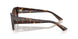 135913 - Tortoise - Gradient Brown