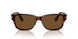24/57 - Havana - Polar Brown