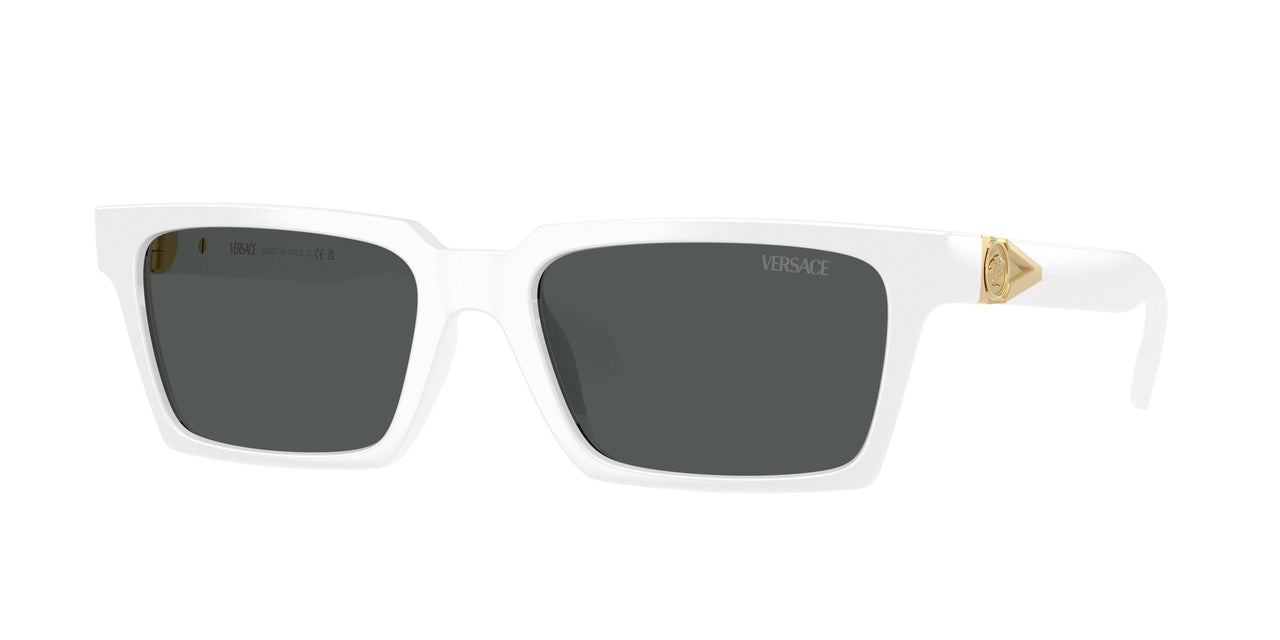 Versace 4490U Sunglasses