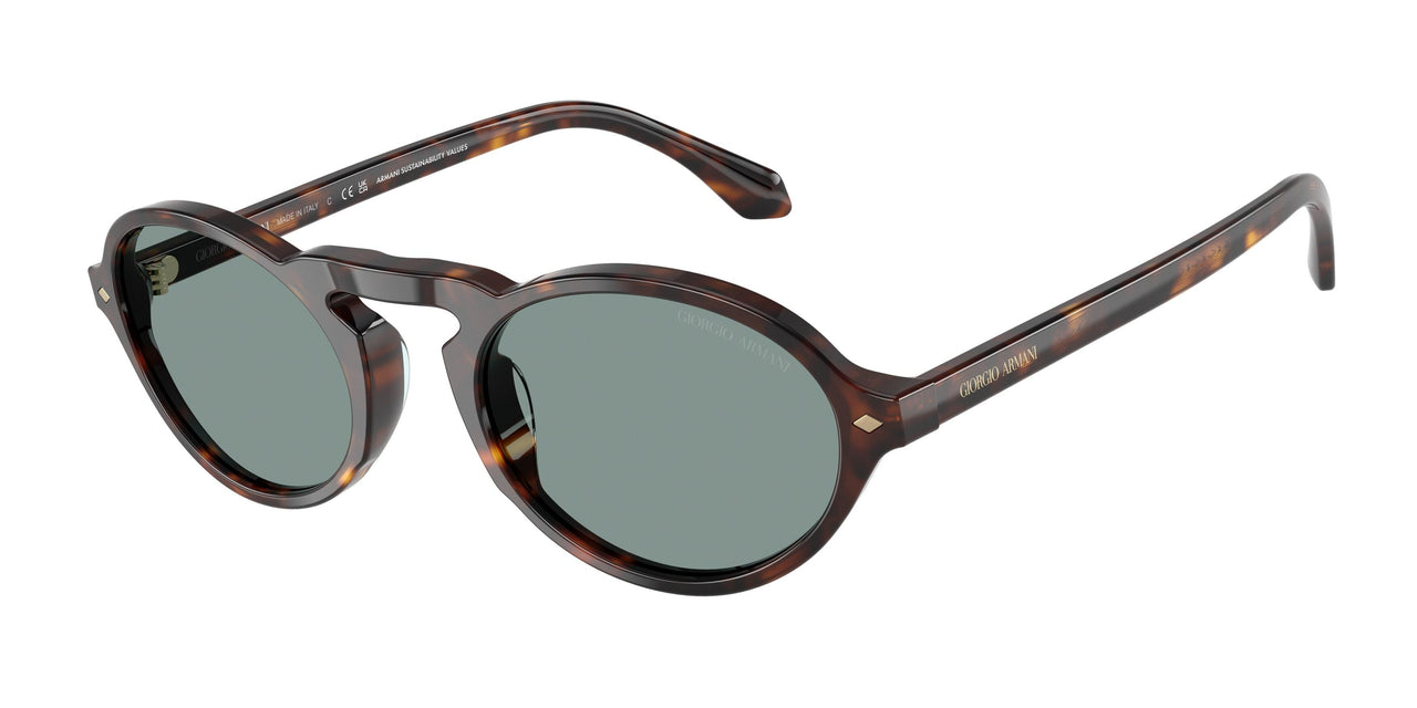 587956 - Tortoise - Grey