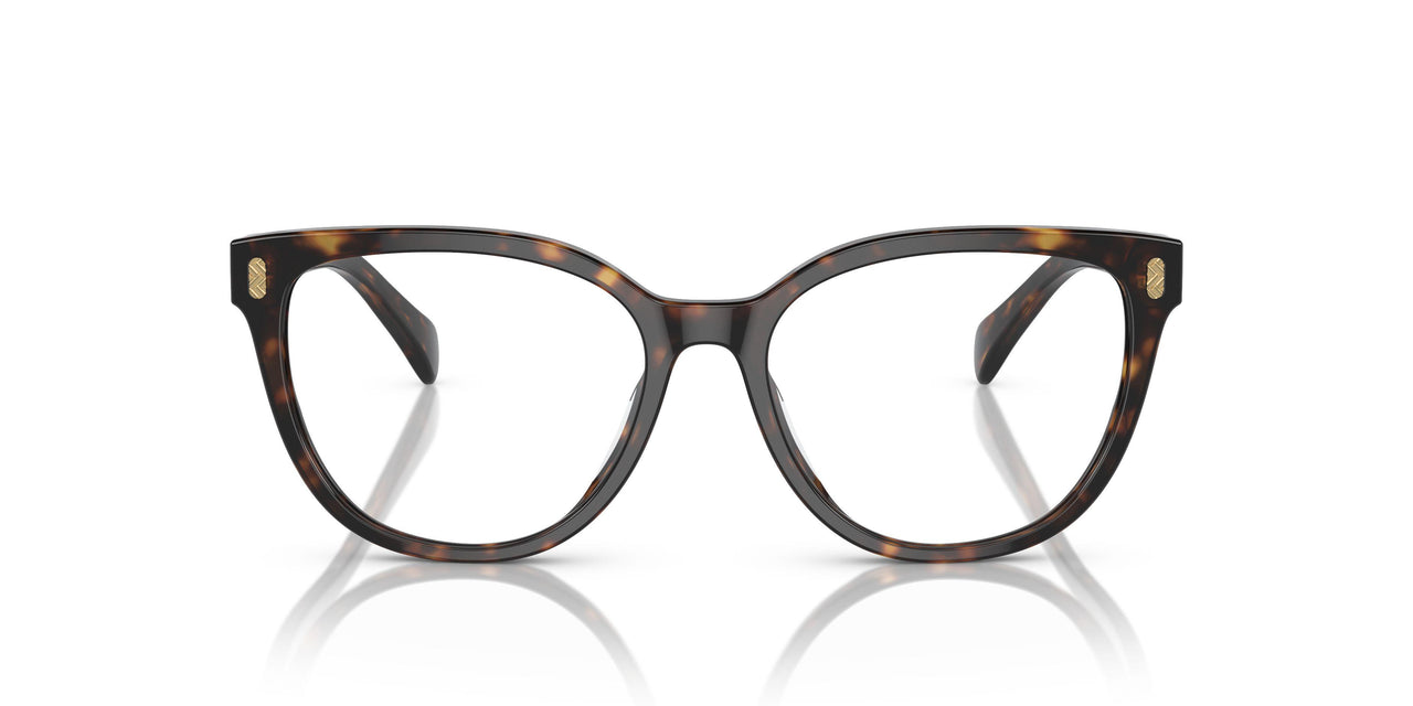 5003 - Brown