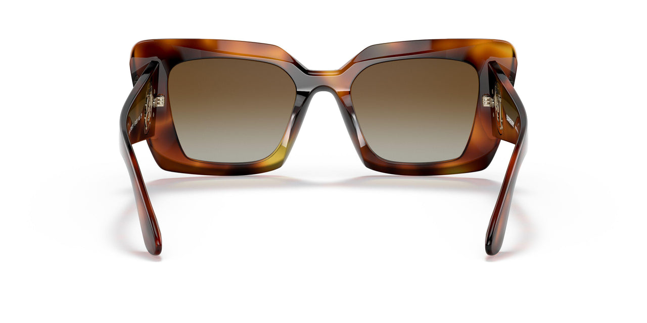 3316T5 - Havana - Polar Brown Gradient