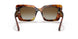 3316T5 - Havana - Polar Brown Gradient