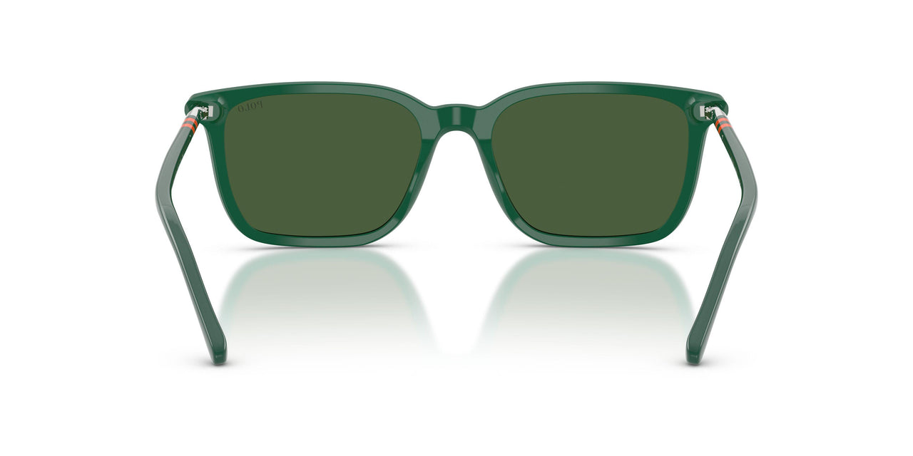542171 - Green - Bottle Green