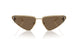300673 - Gold - Dark Brown