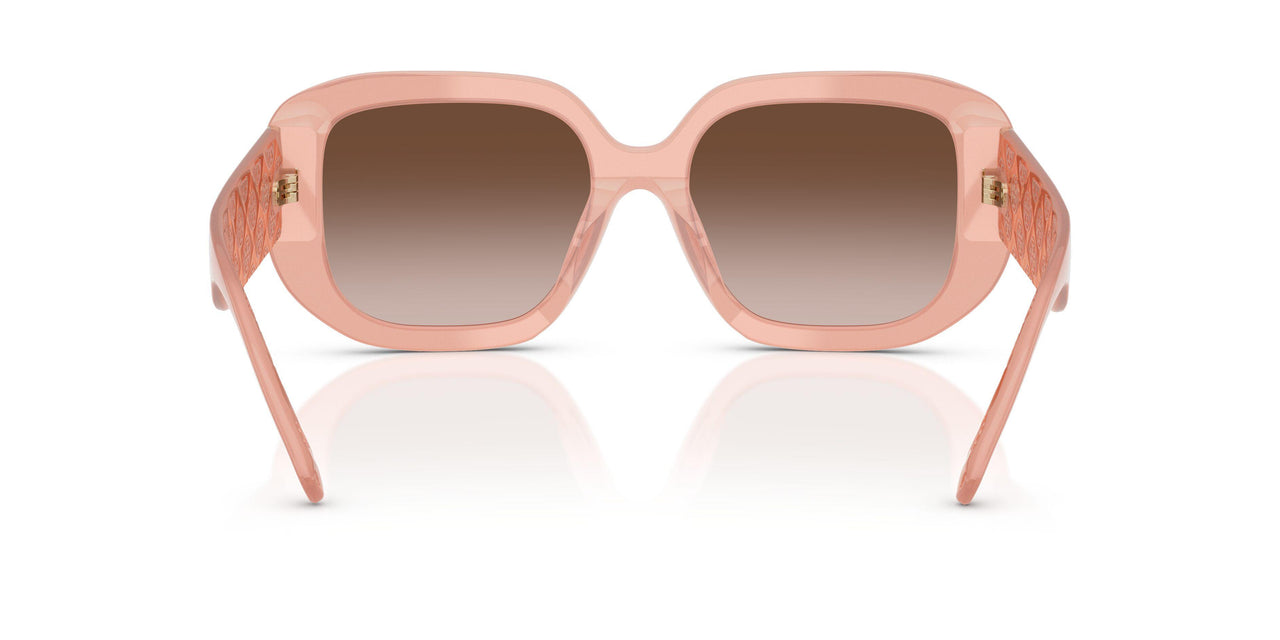 202813 - Pink - Brown Gradient