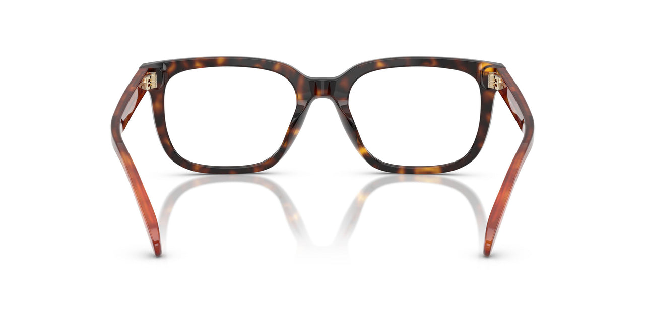 5120 - Tortoise