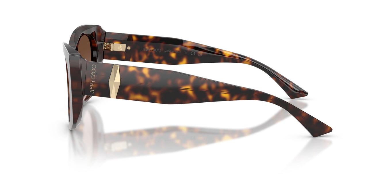 500213 - Tortoise - Brown Gradient