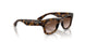 152/13 - Tortoise - Light Brown Gradient Dark Brow