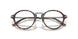 6403 - Tortoise