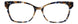 NTR - Navy/Tortoise [NTR]