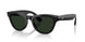 601/1M - Black - Clear/graphite Green