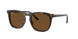 Ray-Ban 2210F Sunglasses