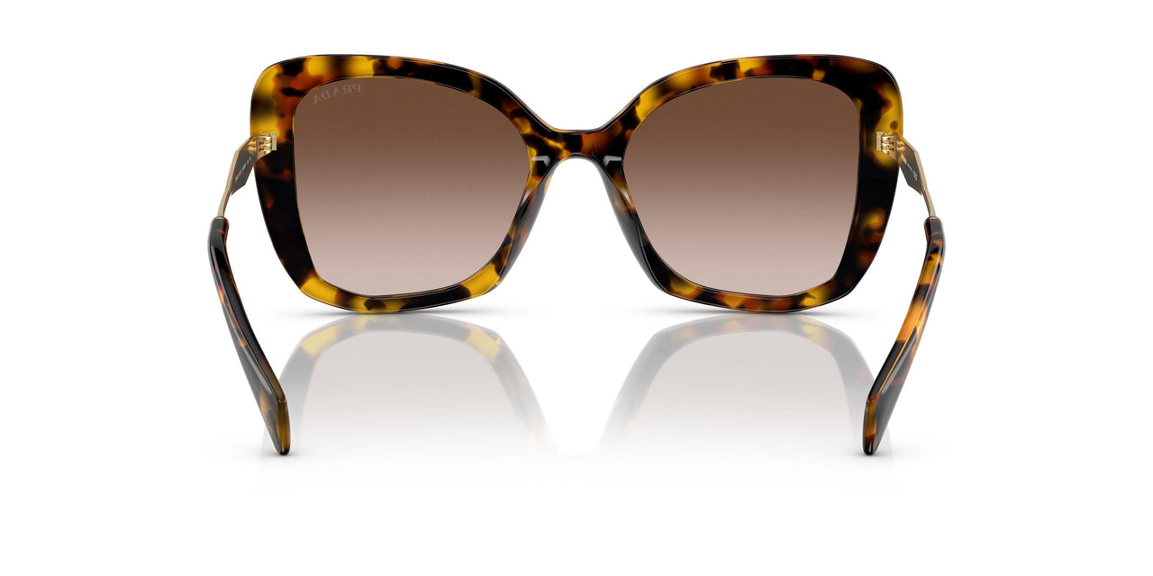 VAU6S1 - Havana - Brown Gradient