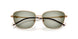 342713 - Brown - Green Gradient Green