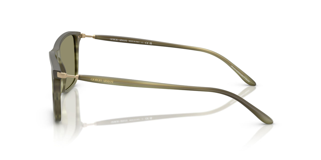 61682A - Tortoise - Green