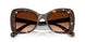 109474 - Tortoise - Gradient Brown