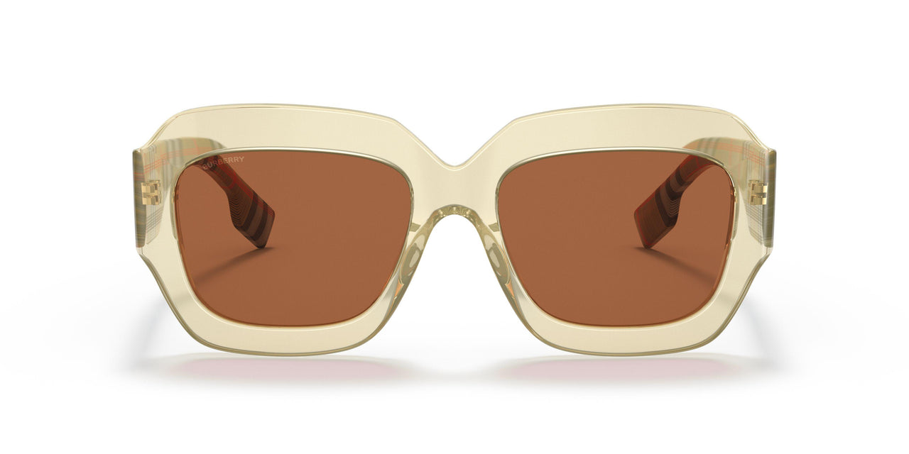 393173 - Yellow - Brown