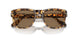 1056GI - Tortoise - Transitions 8 Brown