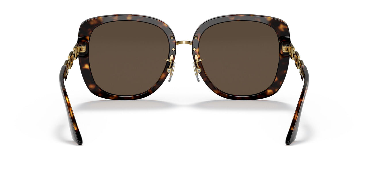 108/73 - Tortoise - Dark Brown