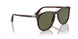 24/58 - Tortoise - Polar Green