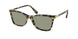 Swarovski 6004F Sunglasses