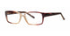 PLASTICS I ARRIVAL Eyeglasses