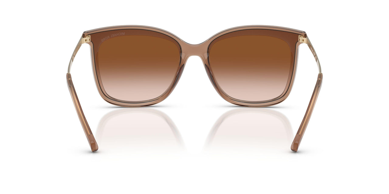 39383B - Brown - Brown Gradient
