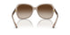 824013 - Brown - Gradient Brown