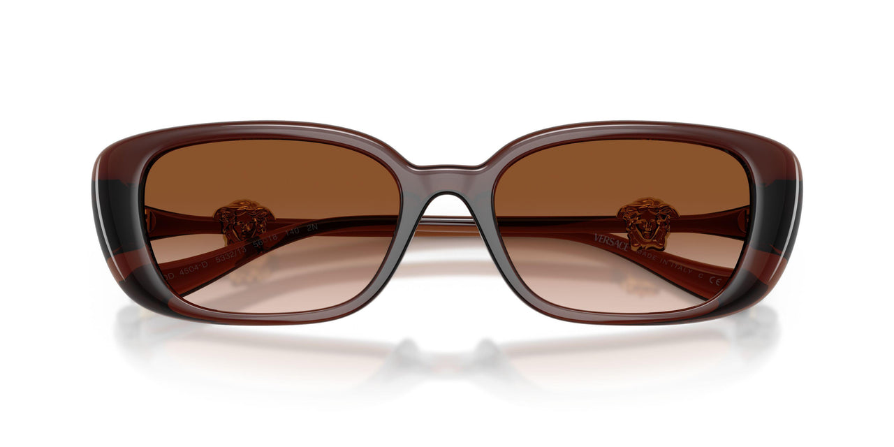 533213 - Brown - Brown Gradient