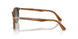 960/S3 - Brown - Light Blue Grad Dlue Polar